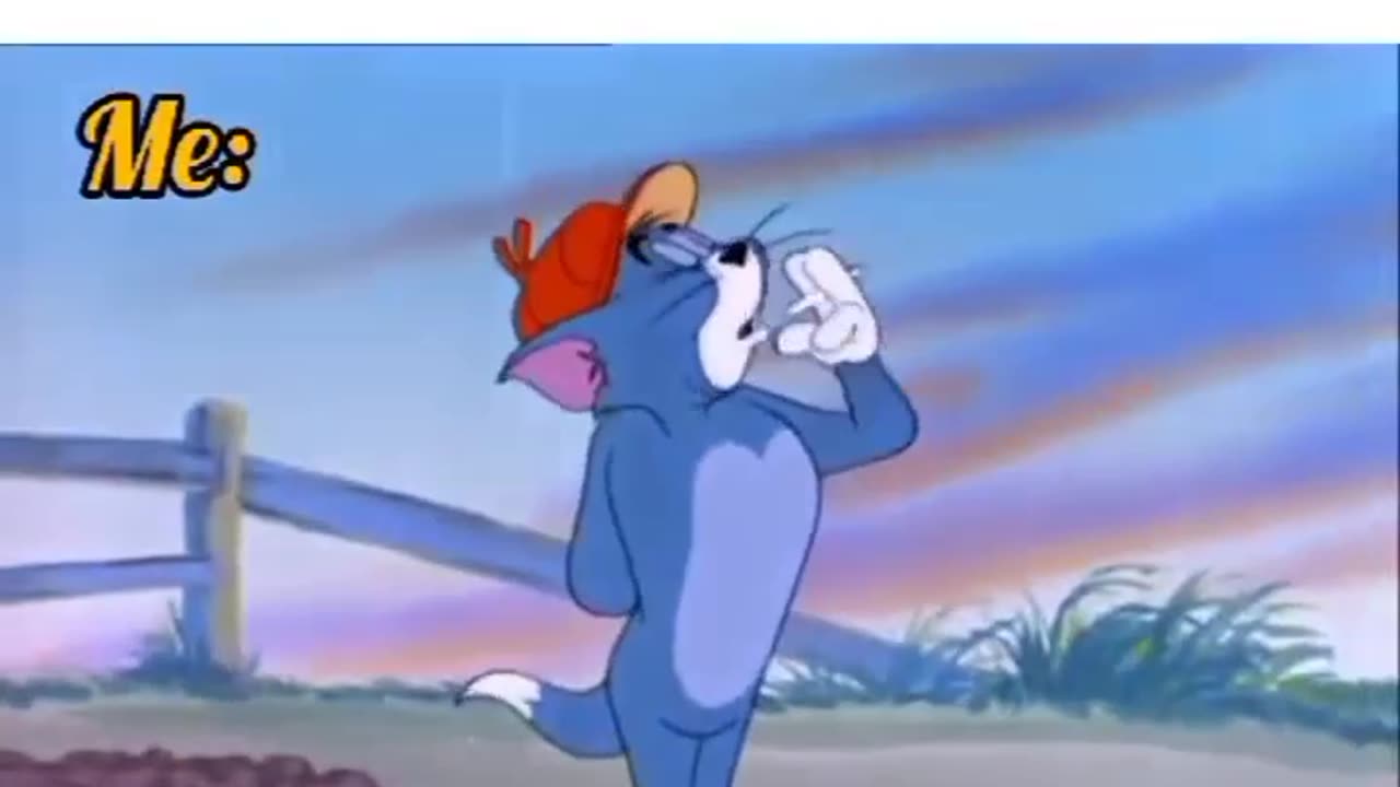 tom and jerry memes