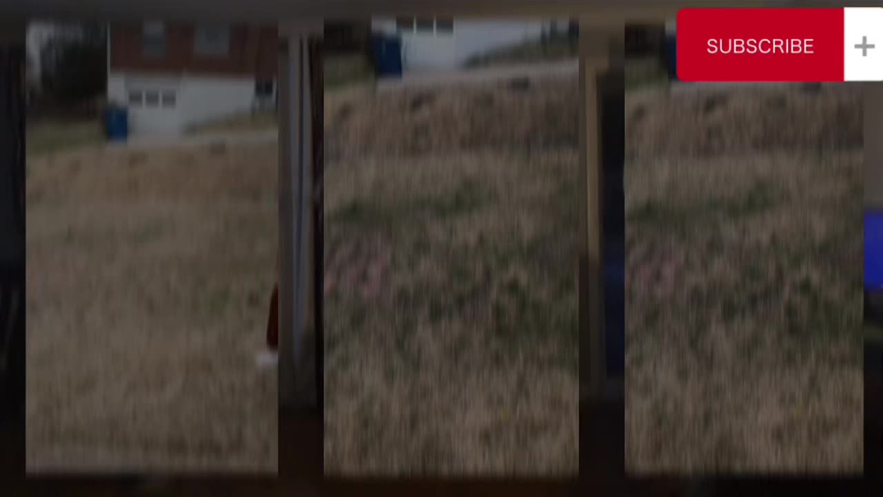 Hand to Hand Fighterz