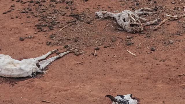 The reality ofSomalia's drought