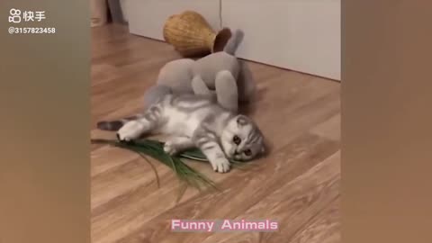 Funny moments of cats and dogs 🤣