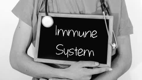 Immune System