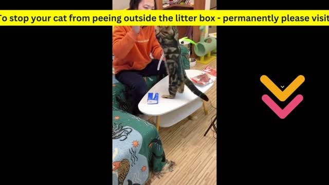 Here comes the little rascal! How can I live?