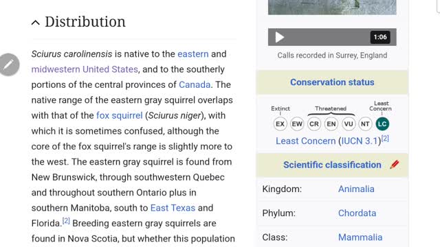 The great squirrel replacement