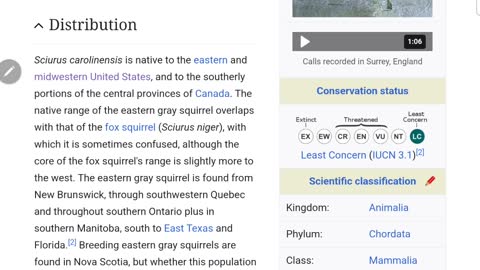 The great squirrel replacement