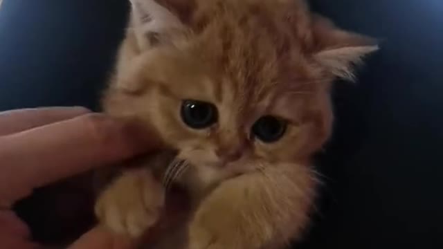 Look at her big eyes