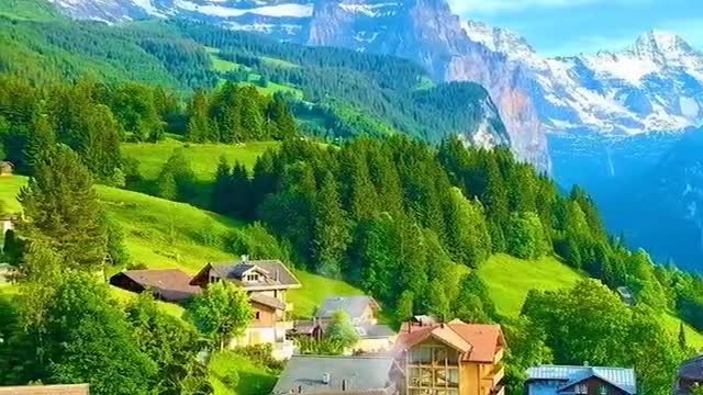 We went to enjoy the view