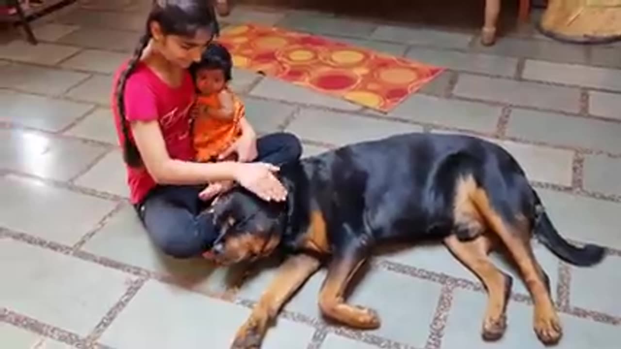 Jerry and Aaruare made for each other(Dog protecting baby)