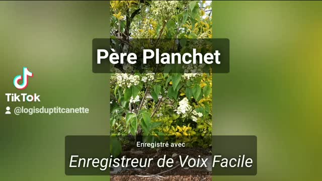 Père Planchet