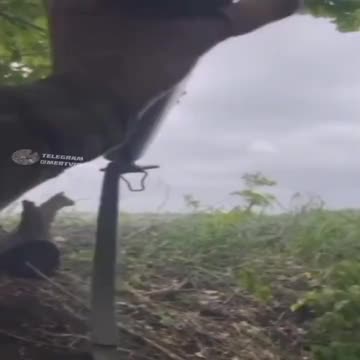 Foreign Legion during the battles with the invaders towards Severodonets