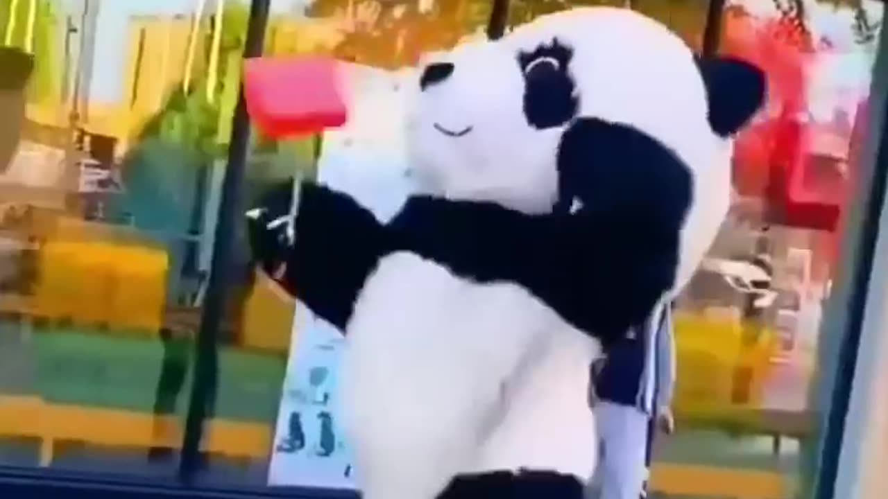 Kungfu panda street warrior