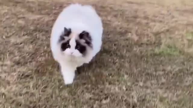 歩く