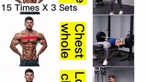 Chest Day Workout