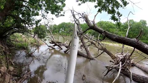 River Fishing Using Set Lines for Flathead Catfish!!