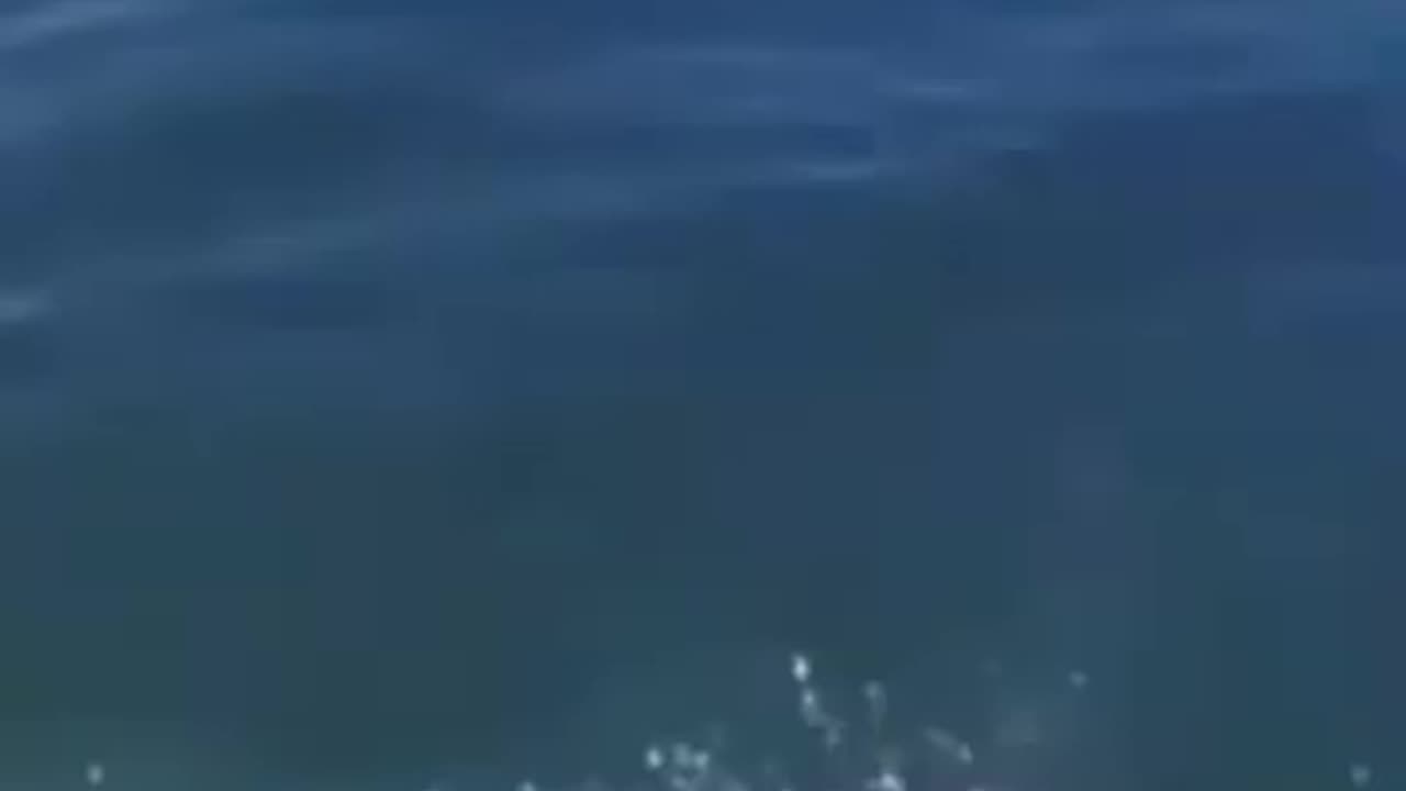 Animal viral