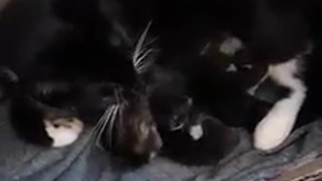 When The Babies Were Born