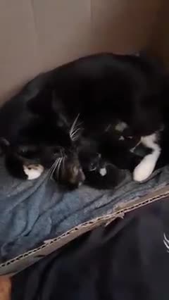 When The Babies Were Born