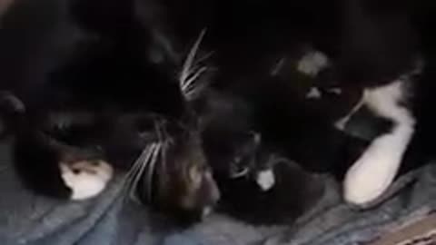 When The Babies Were Born