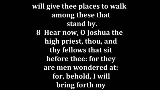 Zechariah 3 King James version