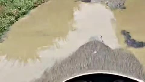 Bike driving