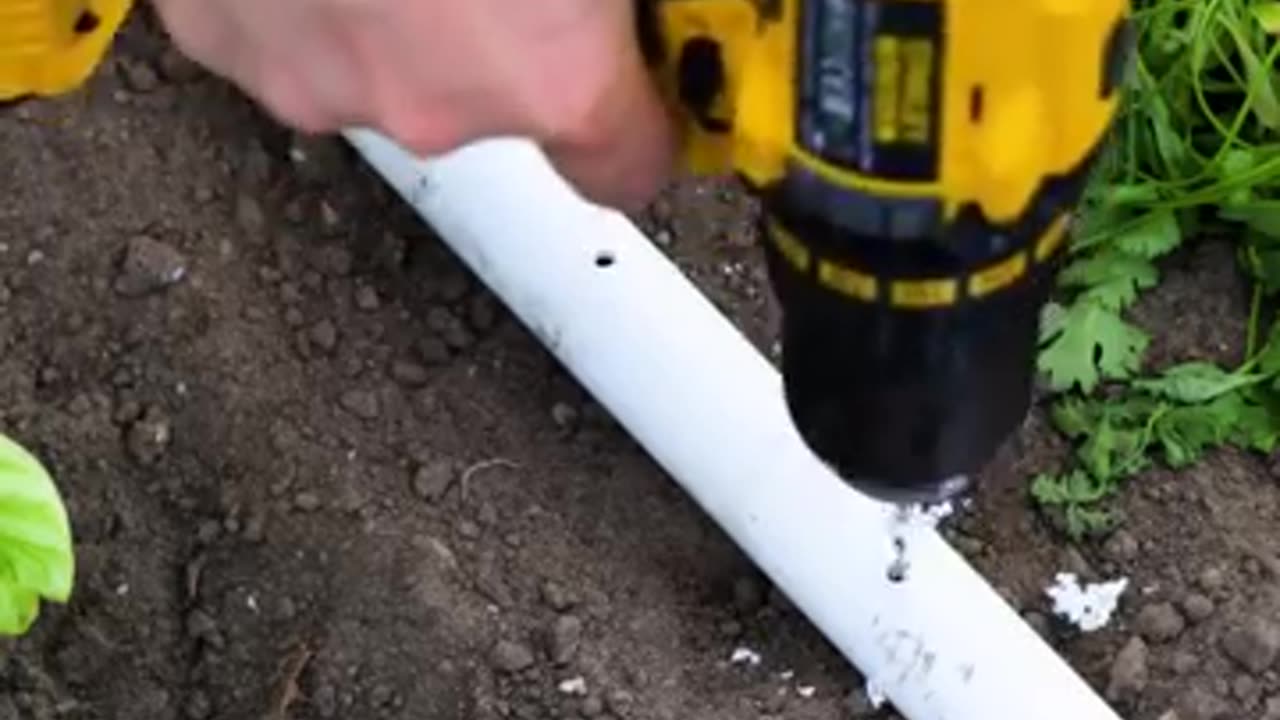 Genius Plant Hacks And Gardening Tips You Shouldn't Miss