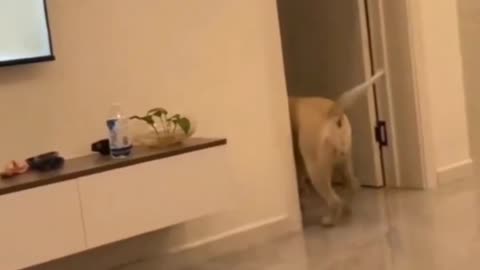 Wait for it 😂😂