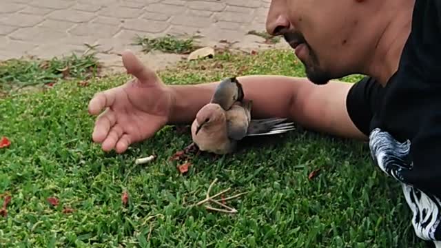 Beautyful Birds n my friend