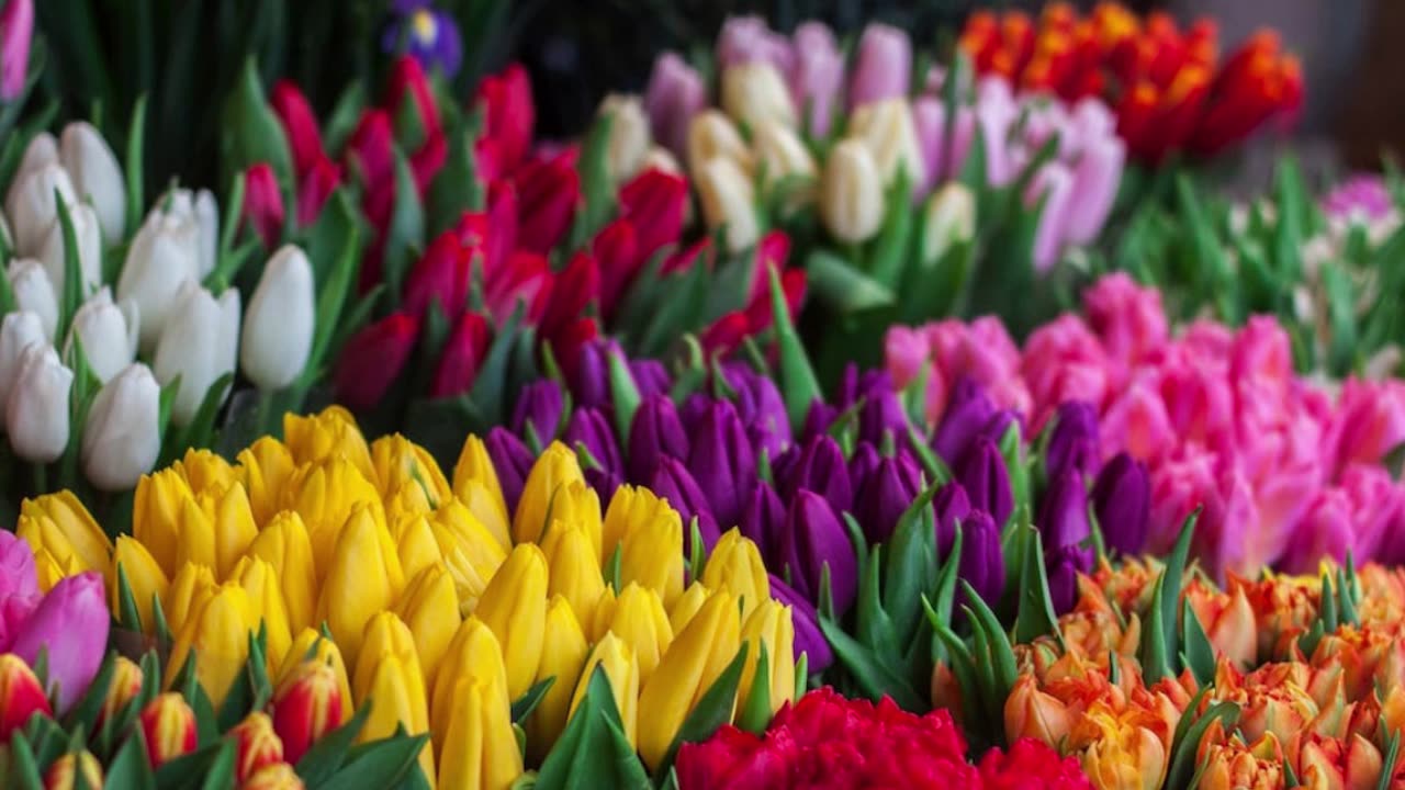 Asherman's Syndrome Disease Symptoms