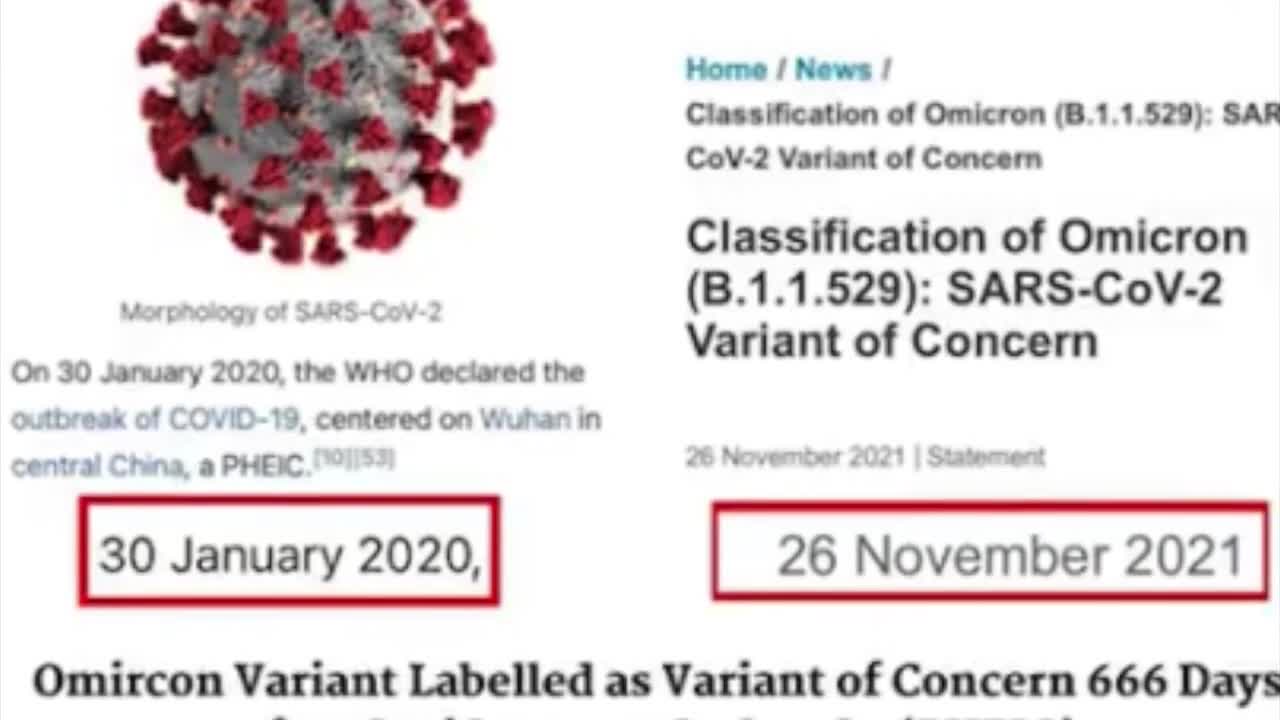 GRAPHENE OXIDE,hydrogel and cytoxicity