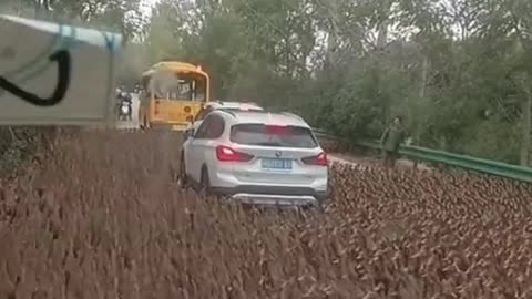 REVOLUTION OF THE DUCKS!🦆😳