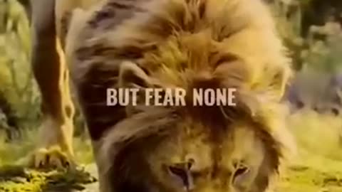 Sigma rule Attitude status WhatsApp status Attitude quotes #shorts #quotes #attitude