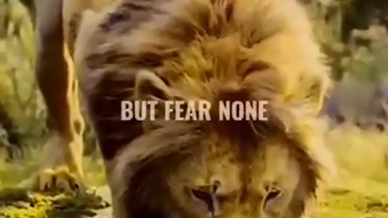 Sigma rule Attitude status WhatsApp status Attitude quotes #shorts #quotes #attitude