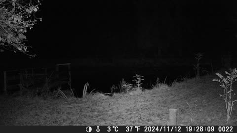Teich121124