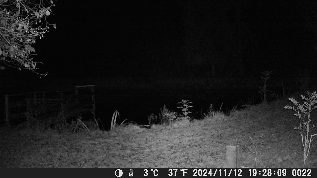 Teich121124