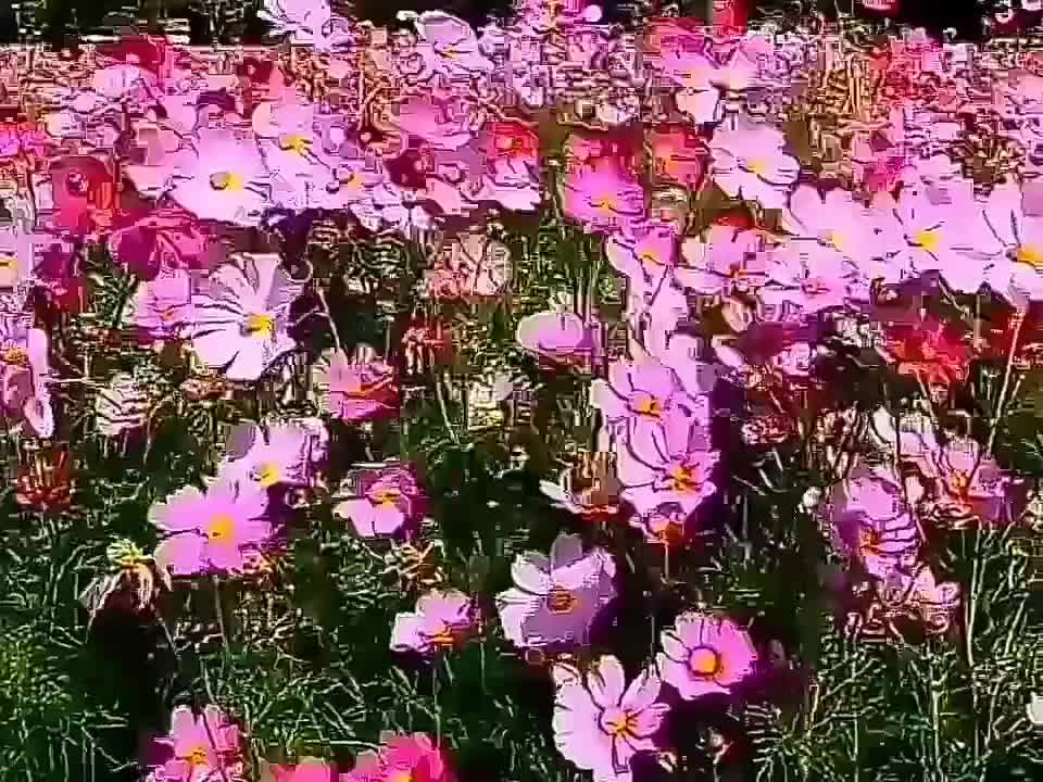 Relaxing music.