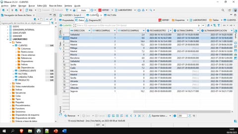 Oracle y el lenguaje PL/SQL parte 17. Subconsultas y condición IN