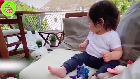 Best Funny Animal Videos 2023 🥰 | Funniest Dogs And Cats Videos 😁