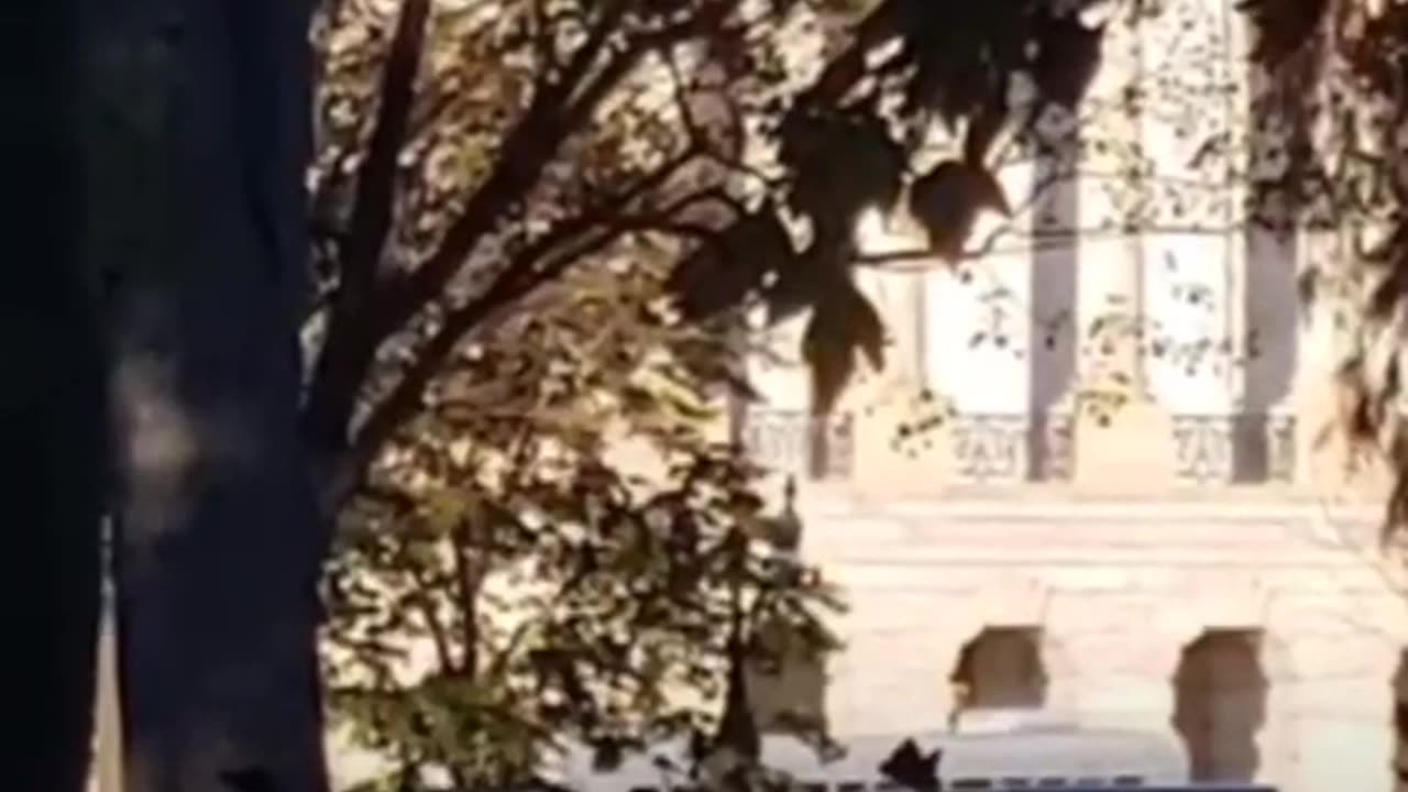 Nancy Drew DC Training Exercise 2019-Nov-19 - 5 of 7