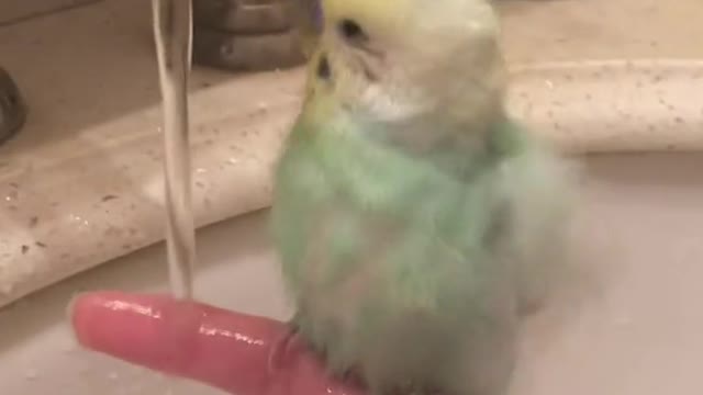 s too cute when he takes a bath