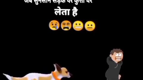 Funny video