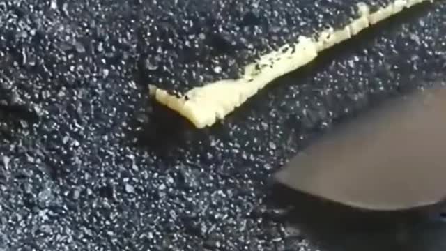 #viral #cooking.