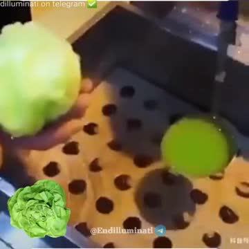 how bout that fake lettuce! Sure does look real!