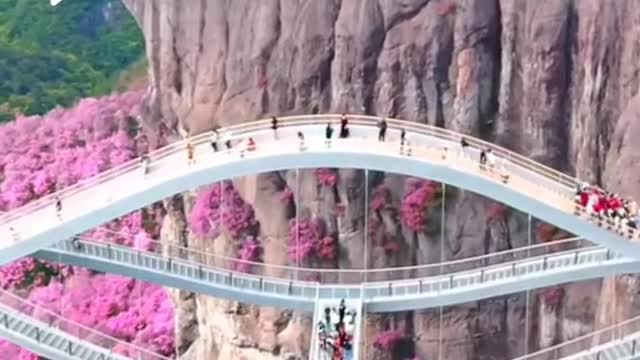 Trả lời @mesezabel07 A more holistic view from above, the address is pinned in the comments 🥰