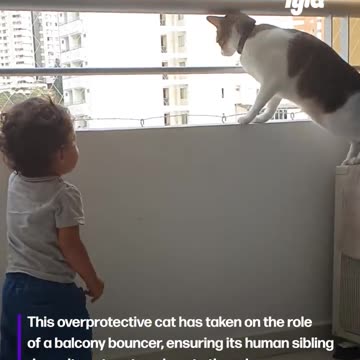 Cat keeps little human safe.
