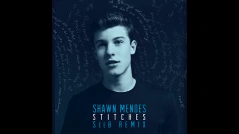 Shawn Mendes - Stitches (SeeB Remix - Audio)