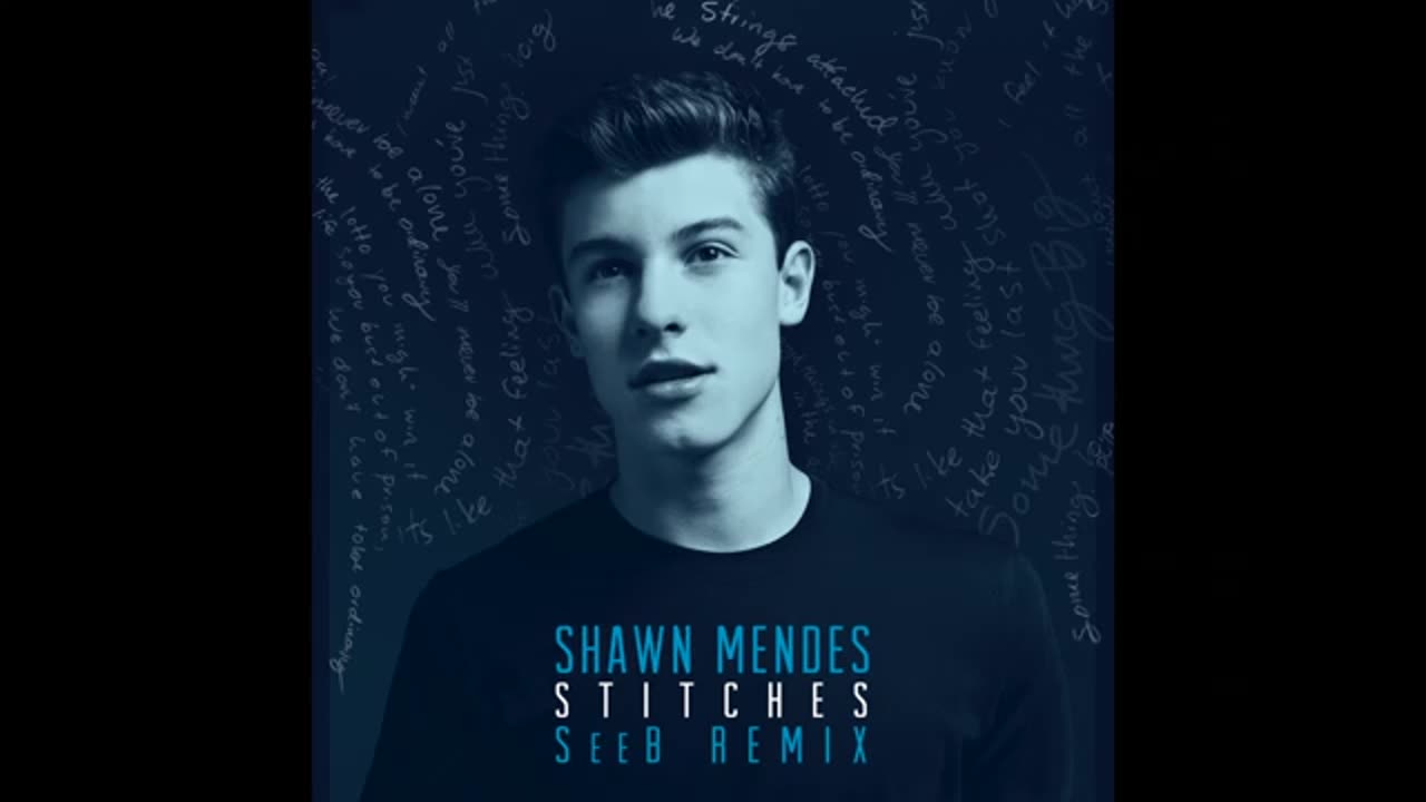 Shawn Mendes - Stitches (SeeB Remix - Audio)