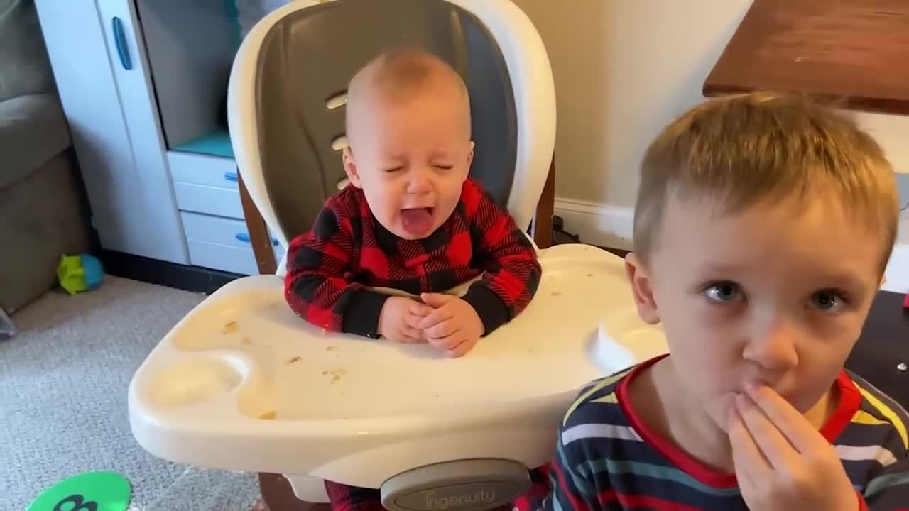 Best Videos Of Funny Twin Babies Compilation