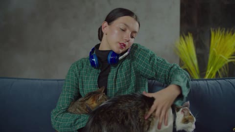 Attractive positive woman pet owner relaxing on sofa with two adorable diverse domestic cats