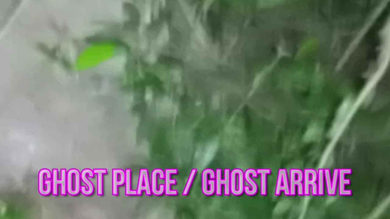 Ghost Arrive