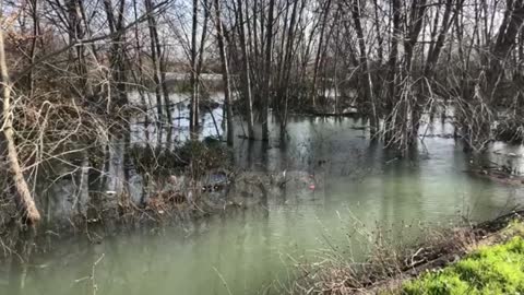 Permbytja Shkoder 20 dhjetor