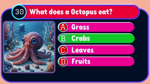 quiz video